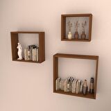3 LÜ KUTU RAF SET  HARELİ CEVİZ (MAT)