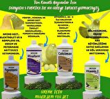 Royal İlaç Güvercin, Kafes Kuşları ve Tüm Kanatlılar İçin 1 Lt Mükemmel 4lü Set (Pigeotonic+Minaform+Calcimax+Vitamin E Selenyum))