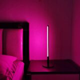 Dekoratif Aydınlatma Led Masa Lambası RGB TROON