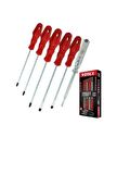 RODEX 6'LI TORNAVİDA SETİ RODEX