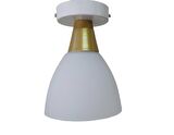 RİOLİGHT MODERN BEYAZ TEKLİ OPAL CAMLI SARKIT