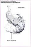 KOKULU 200 ML VÜCUT SPREYİ IŞILTILI (OPERA KADIN)