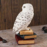 Kitap Üzerinde Beyaz Kar Baykuşu Hedwig Biblosu - Harry Potter