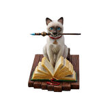 Sihirbaz Kedi Biblo / Hocus Pocus by Lisa Parker