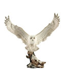 Uçan Beyaz Kar Baykuşu Biblosu