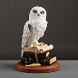Kitap Üzerinde Beyaz Kar Baykuşu Hedwig Biblosu