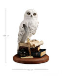 Kitap Üzerinde Beyaz Kar Baykuşu Hedwig Biblosu