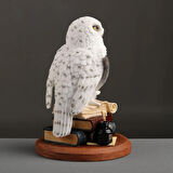 Kitap Üzerinde Beyaz Kar Baykuşu Hedwig Biblosu