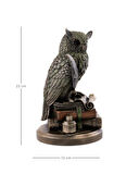 Kitap Üzerinde Baykuş Biblosu 