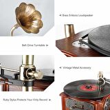 Record Master RMJ-209C Gramofon Pikap - Kahverengi