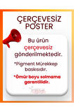 Çerçevesiz Poster Turuncu Tohumlu Bitki Temalı Dijital Baskı Poster,Ev, Ofis, Salon Dekorasyon