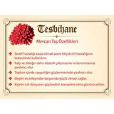925 Ayar Gümüş Püsküllü Küre Kesim Harf Hediyeli Sedef-Mercan Doğaltaş Tesbih