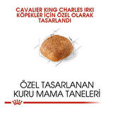 Royal Canin Cavalier King Charles Yetişkin Köpek Maması 1.5 Kg