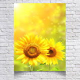 Ay çiçeği posteri 70X100 CM