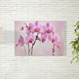 Pembe Orkide Temalı Poster 50X70 CM