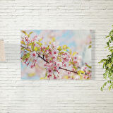 Sakura Ağacı Temalı Poster 70X100 CM