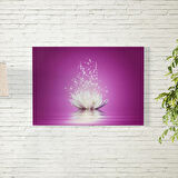 Mor Arkaplanlı Lotus Çiçeği Poster 50X70 CM