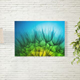 Karahindiba Parçaları Posteri 70X100 CM