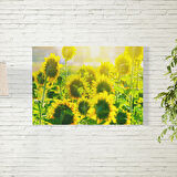 Ay Çiçekleri Poster 70X100 CM