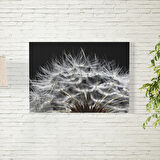 Karahindiba Posteri 70X100 CM