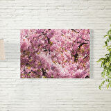 Sakura Ağacı Temalı Poster 70X100 CM