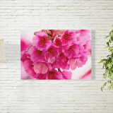 Sakura Çiçeği Temalı Poster 50X70 CM