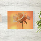 Gül Posteri 70X100 CM