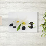 Zambak Poster 70X100 CM