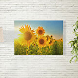 Ay Çiçekleri Poster 50X70 CM