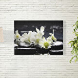 Orkide Çiçeği Posteri 70X100 CM