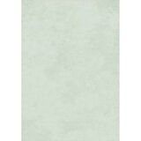 Rovigo Home Dijital Baskı Yıkanabilir Kaymaz Taban Salon Halısı Ve Yolluk RV104-FNL410