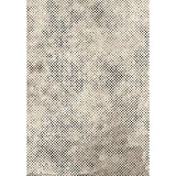 Rovigo Home Dijital Baskı Yıkanabilir Kaymaz Taban Salon Halısı Ve Yolluk RVG0803-FNL07