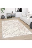 Dijital Baskı Yıkanabilir Kaymaz Taban Salon Halısı Ve Yolluk RVG0401