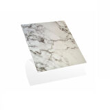 River World 4'lü Paket 30 cm x 30 cm Ebatında Siyah Beyaz Mermer Model PVC Duvar Karosu 