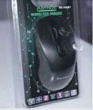 Raynox RX-M207 Kablosuz Mouse