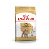 Royal Canin Poodle Yetişkin Köpek Maması 3 Kg