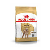 Royal Canin Poodle Yetişkin Köpek Maması 3 Kg