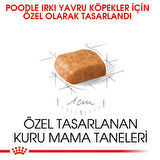 Royal Canin Poodle Junior Yavru Köpek Maması 3 Kg