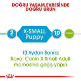 Royal Canin Xsmall Puppy Yavru Köpek Maması 1,5 Kg