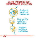 Royal Canin Yorkshire Terrier Junior Yavru Köpek Maması 1,5 Kg