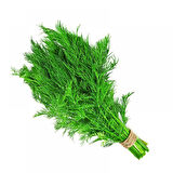 Dere Otu Tohumu Paket +25 gr Paket