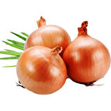 Soğan (Banka-Banko) Tohumu 5 gr Paket