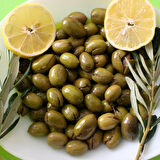 Geleneksel Çekiçte Zeytin Fidanı, Kırmalık ve Çizmelik