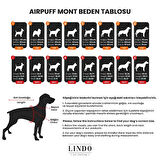 Lindo Dogs Air Puff Stone Köpek Montu Krem Beden 5