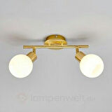 Rsylight Metal Eskitme Kaplama Opal Camlı Tavan Plofyoner 2 Li 180 Derece Hareketli Avize