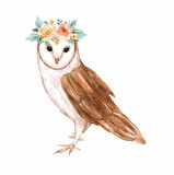 Çiçek Taçlı Baykuş Duvar Stickerı