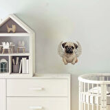 Kanatlı Pug Yavrusu Duvar Stickerı