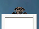 Siyah Cane Corso Köpek Duvar Sticker'ı