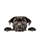 Siyah Cane Corso Köpek Duvar Sticker'ı