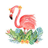 Tropikal Yapraklı Flamingo
